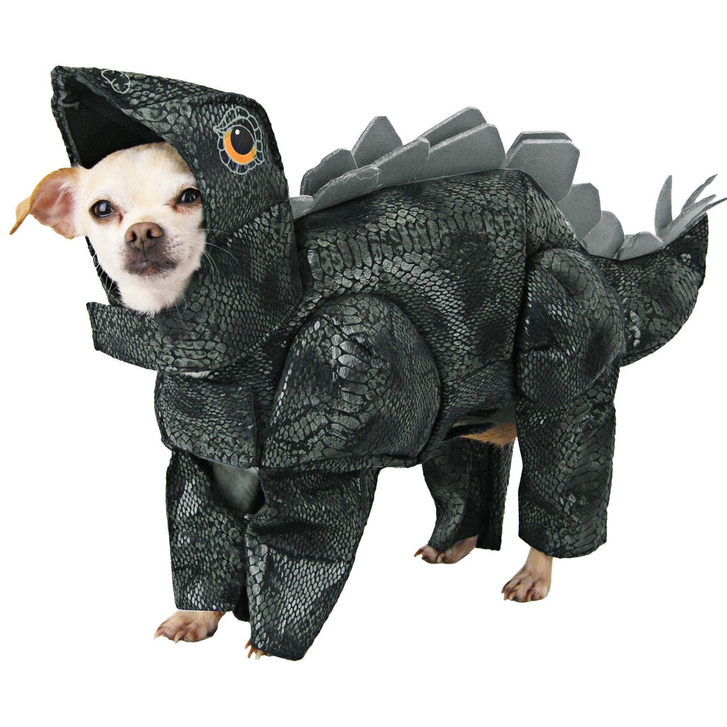 Animal Planet™ Stegosaurus Pet Costume